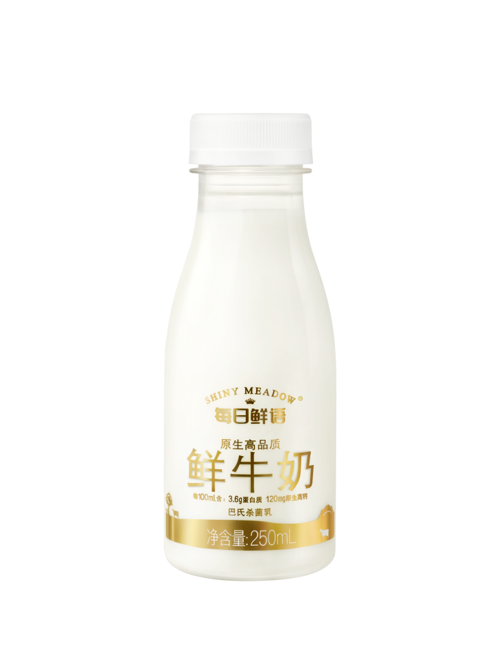 蒙牛每日鲜语巴氏鲜牛奶250ml/瓶*12