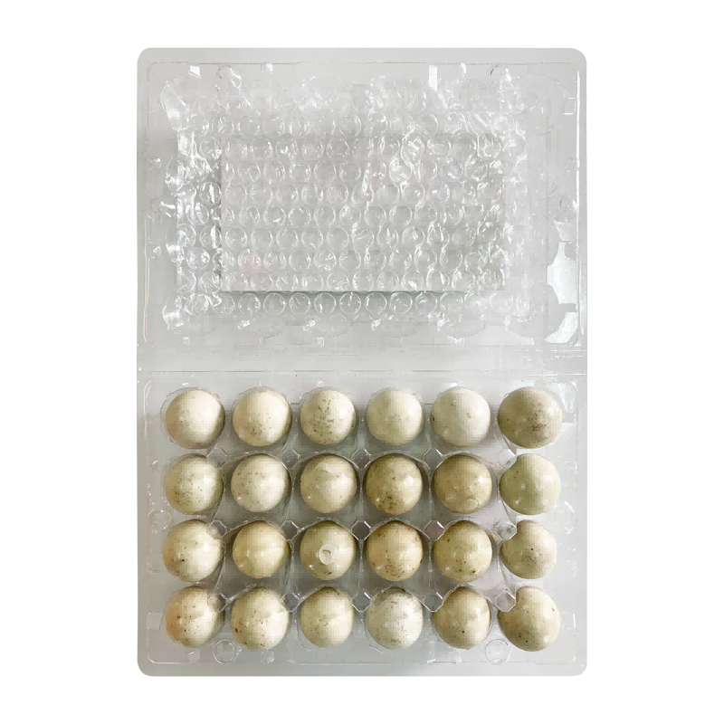 神丹 鹌鹑松花皮蛋（7g*24枚）*2盒