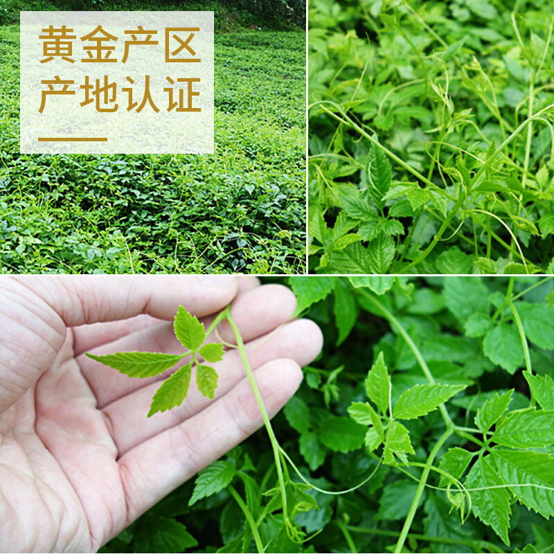 平利绞股蓝龙须茶五叶甘味50g/袋*18袋