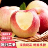共同