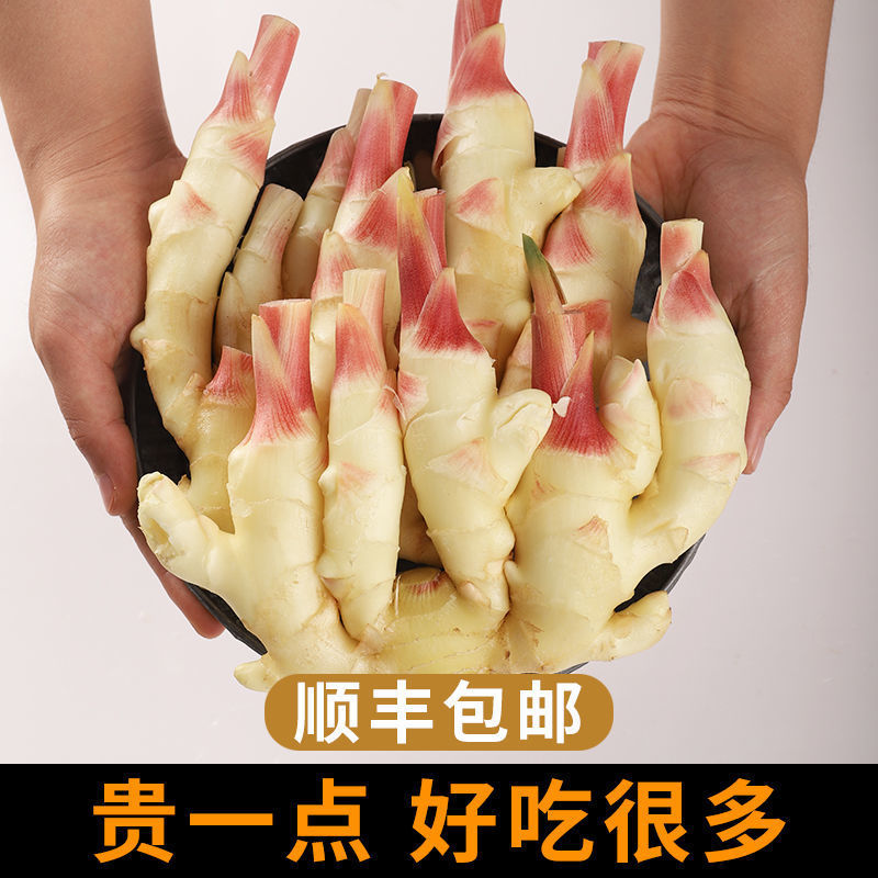 [1500克/箱]山东新鲜红芽姜