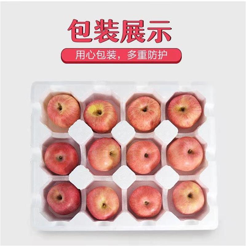 【2500克每箱*1箱】烟台红富士苹果（质保期30天）