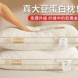 共同