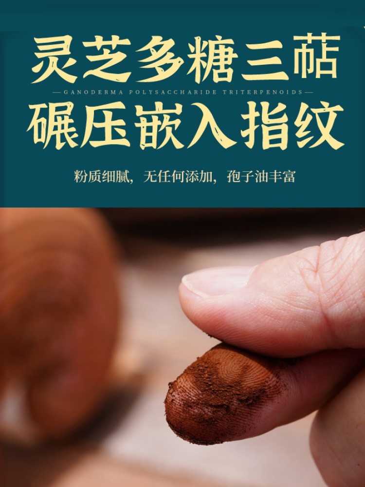 长白山头道柞木段灵芝孢子粉250g