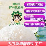 共同