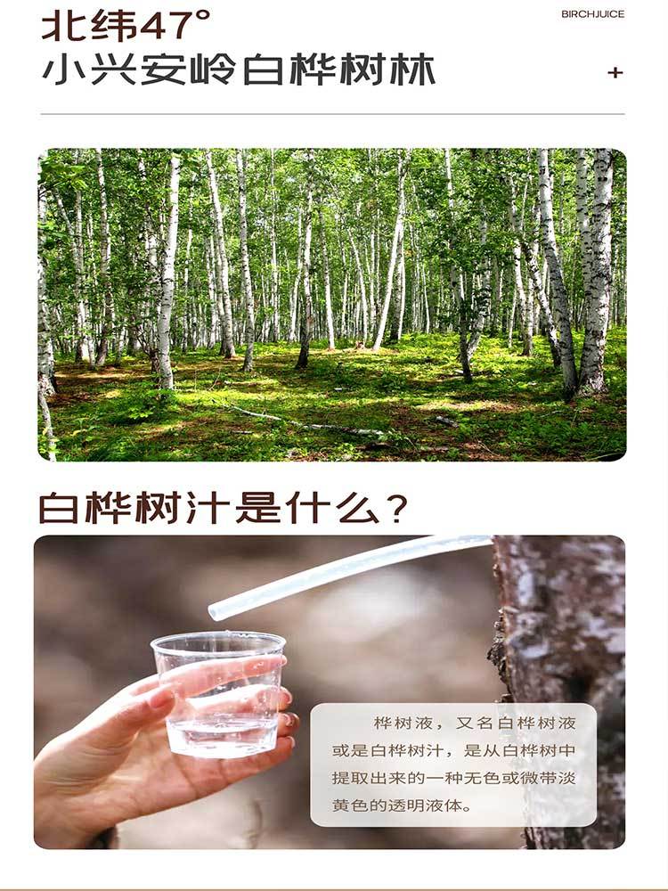 伊春-白桦 树 汁320ml*6瓶/箱