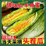 共同
