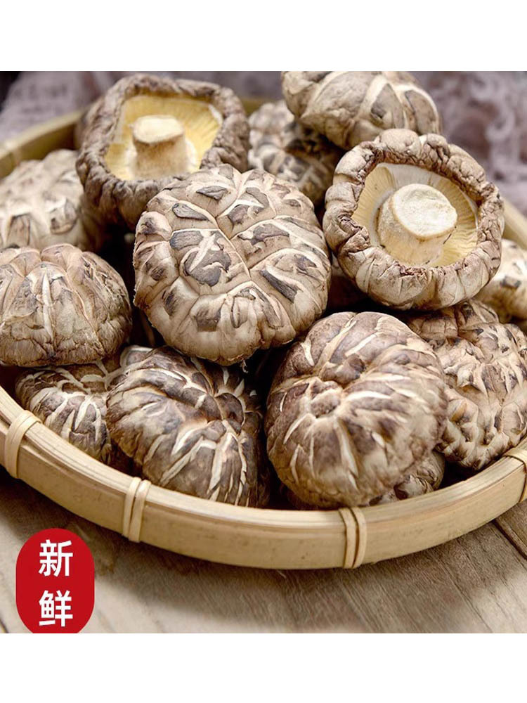 河南西峡新鲜营养干花菇500g*1袋
