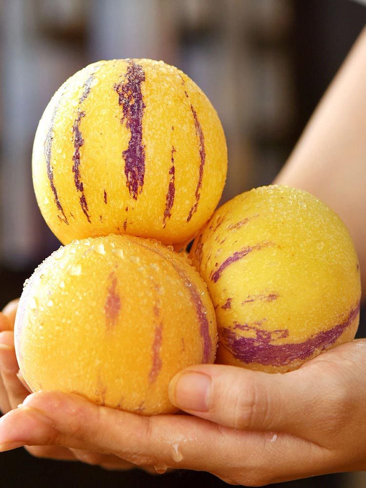 云南石林-人参果·大果5斤(单果约80-110g)树熟黄肉圆果