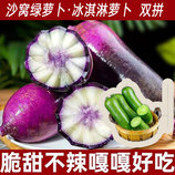 沙窝绿萝卜+沙窝冰淇淋萝卜