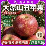 共同