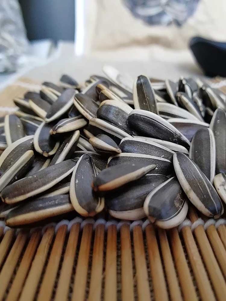 原味葵花籽大瓜子500g*2