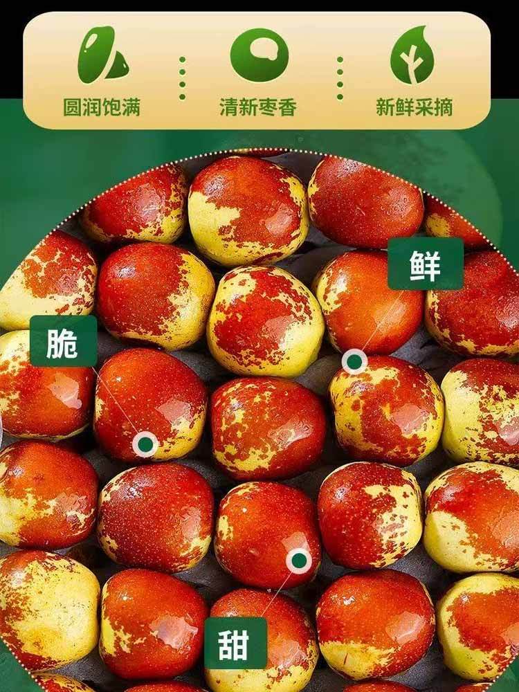 【到手5斤】正宗黄骅孔店冬枣 新鲜现摘现发（京东包邮）