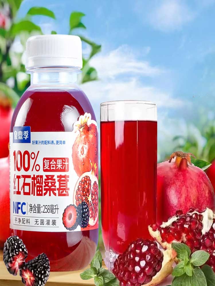 红石榴桑葚复合汁258ml*12瓶