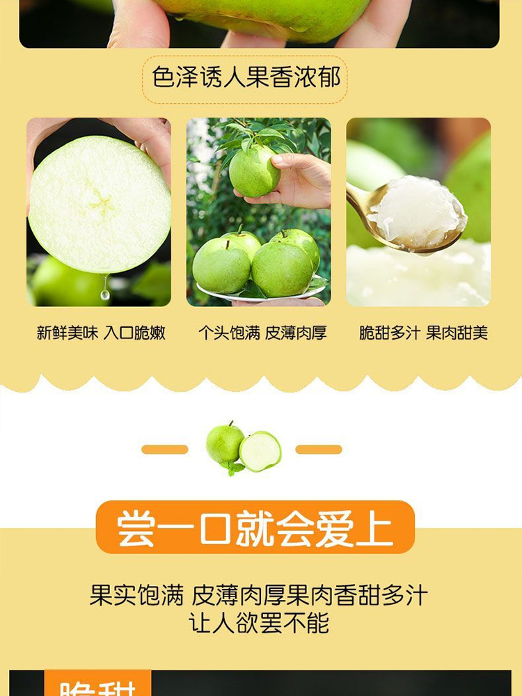 皇冠梨9斤【单果200g+】