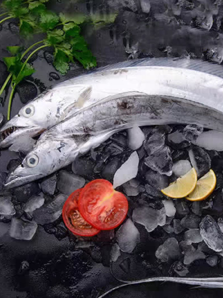 【无冰】带鱼段400g*5袋