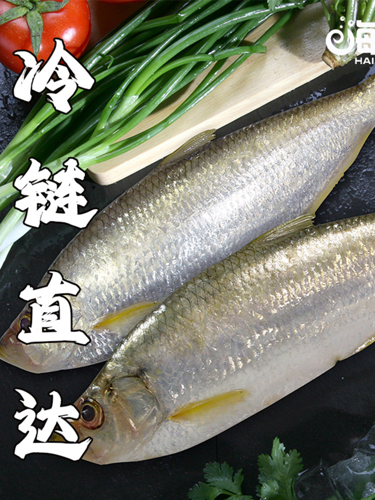 【年味佳品】2026年海鲜港·阖家幸福2700g