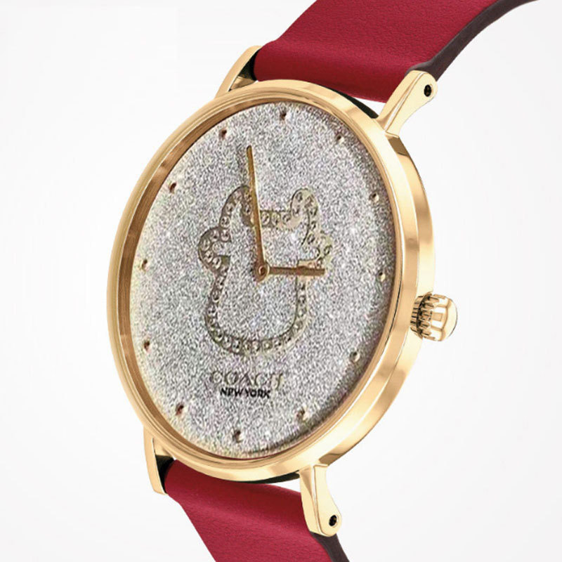 coach蔻驰牛年纪念款手表星盘