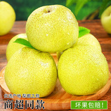 共同