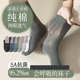 颜色随机