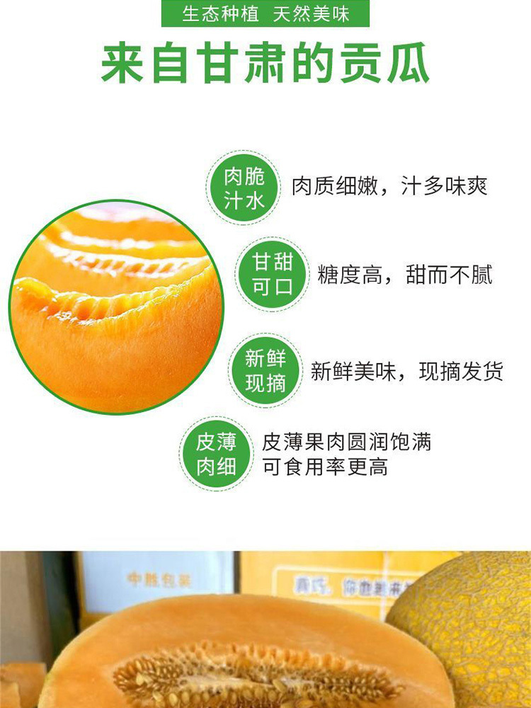 黄哈密瓜【金色年华】净重4.5-5斤【2个】