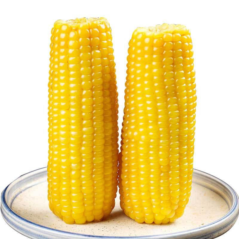 裕农黄糯玉米200g根十支装黄色