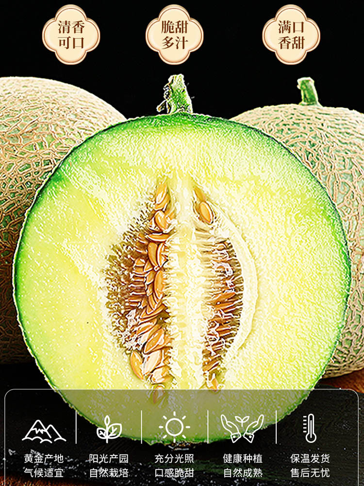 【应季新鲜水果】新鲜现摘海南网纹冰激凌蜜瓜7.5-8斤（3-5个）·无
