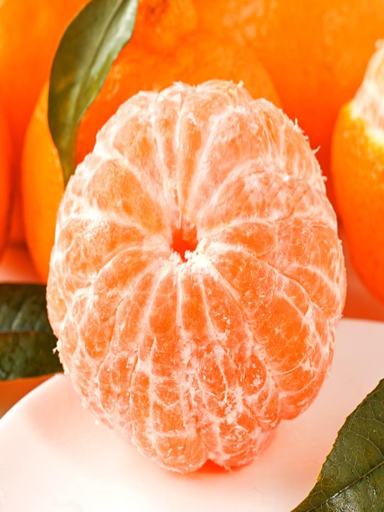 不知火丑橘 9斤大果 单果75+ 大果新鲜水果桔橘子丑柑丑八怪整箱