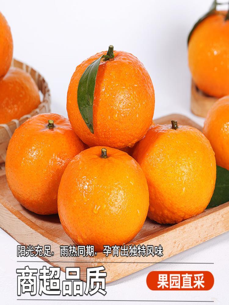 广西武鸣沃柑 9斤 单果65mm+ 生鲜桔子水果