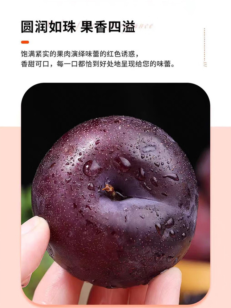 血丝玫瑰李净重5斤特大果 【单果70-100g】