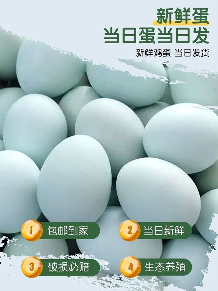 正宗农家散养绿壳乌鸡蛋50枚（顺丰包邮·现捡现发）