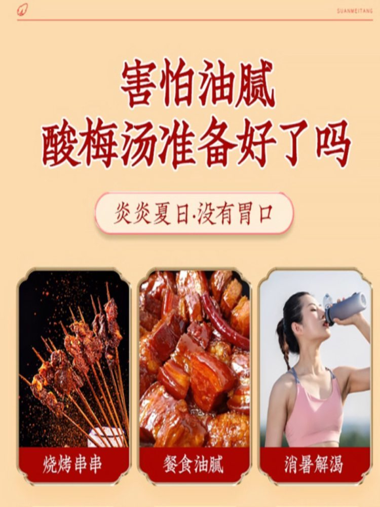 酸梅粉 100条 小袋独立包装 酸梅汤粉 速溶固体饮料 10g/条