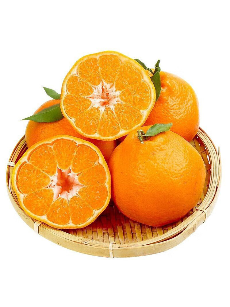 【合众精选】耙耙柑大果 75mm+·3斤大果