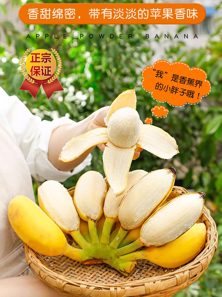 【香甜绵密】苹果蕉9斤装
