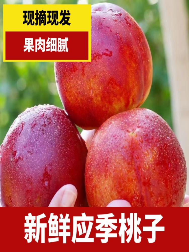 湖北黄心油桃 净重4.5斤 应季水果 源头直发 新鲜现摘现发