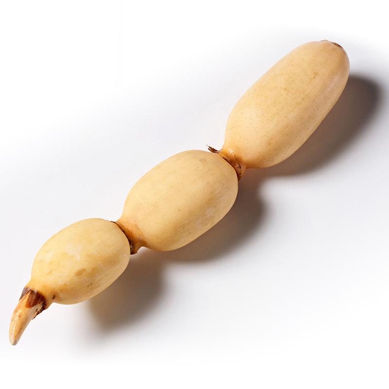 湖北有机脆藕5斤装