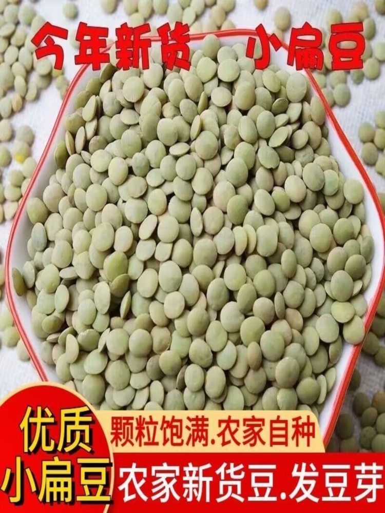 小扁豆 5斤 可发芽 五谷杂粮 天水特产