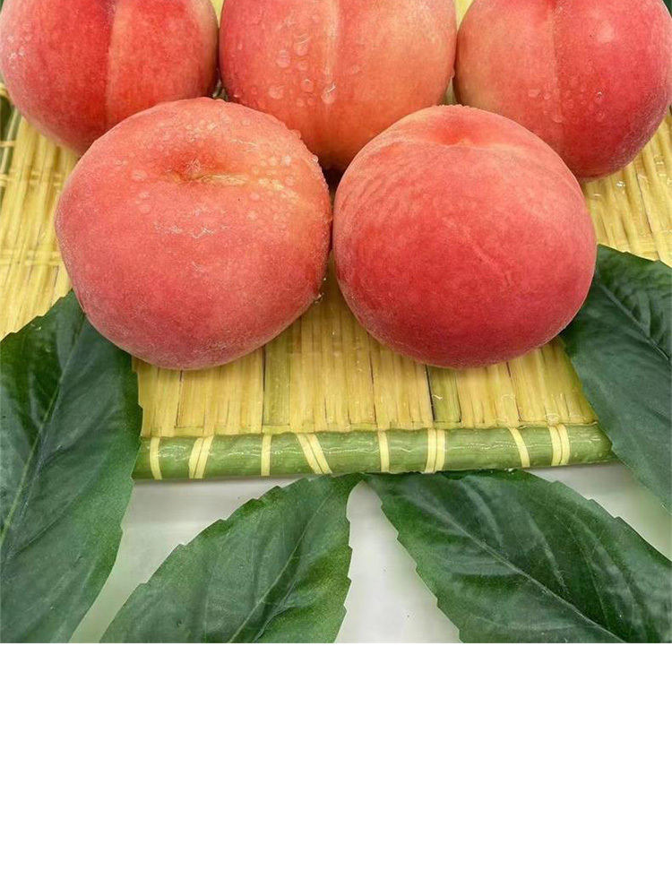 红梅水蜜桃3斤大果【7-9个左右】【顺丰快递】