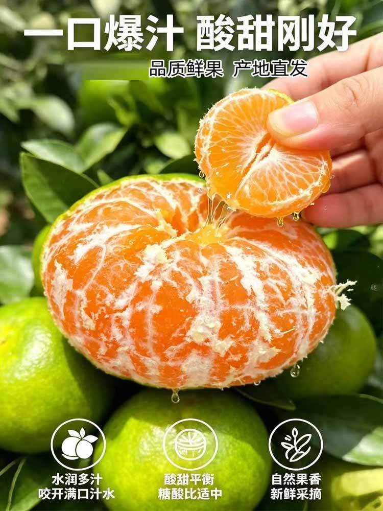 【到手9斤】湖北宜昌-高山蜜桔 特大果（皮薄肉嫩）