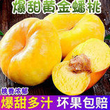 共同