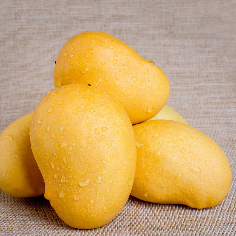 缅甸圣德龙钻石芒果8斤装