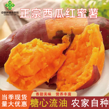 共同