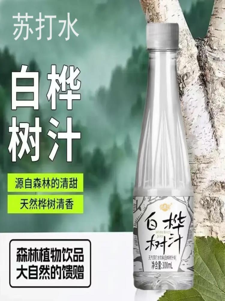 白桦树汁 300ml*24瓶 苏打天然水饮料原汁饮品