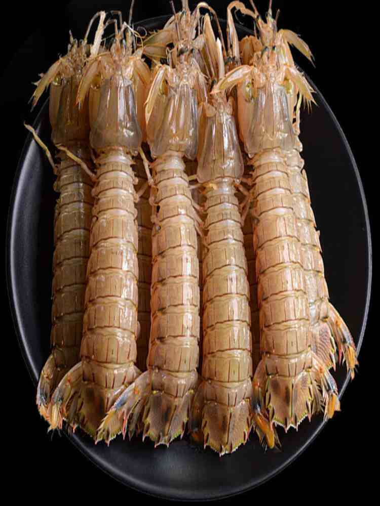 中公皮皮虾 4斤 9-11cm/只 熟冻虾爬子 海鲜海虾 新鲜蒸熟