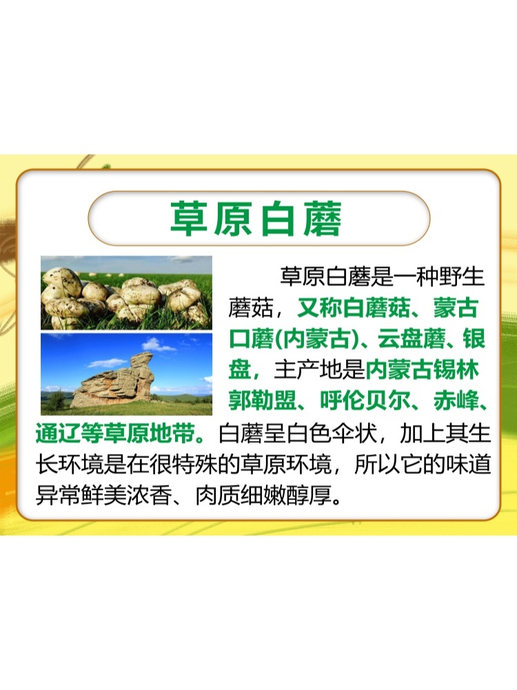 梦幻草原草原白蘑酱原味香辣4罐组
