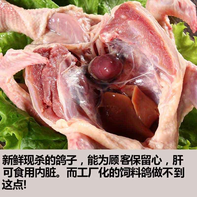 新鲜现杀乳鸽鸽子三只顺丰,请搜索货号1188487