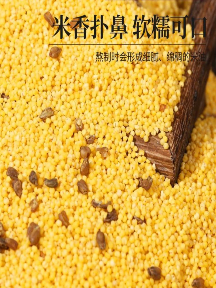 苦荞小米 250g*7包 黄小米油小米糯小米优选米苦荞加小米