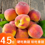净重4.5斤