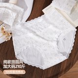 颜色随机