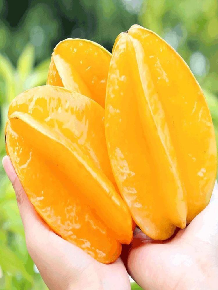 【年货】福建杨桃 净重4.5斤 单果180g+ 水果源头直发